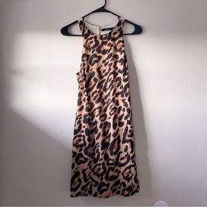 Leopard Print Dress